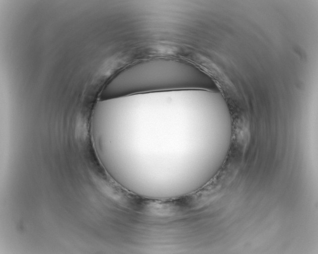 X0000111590568200907161155