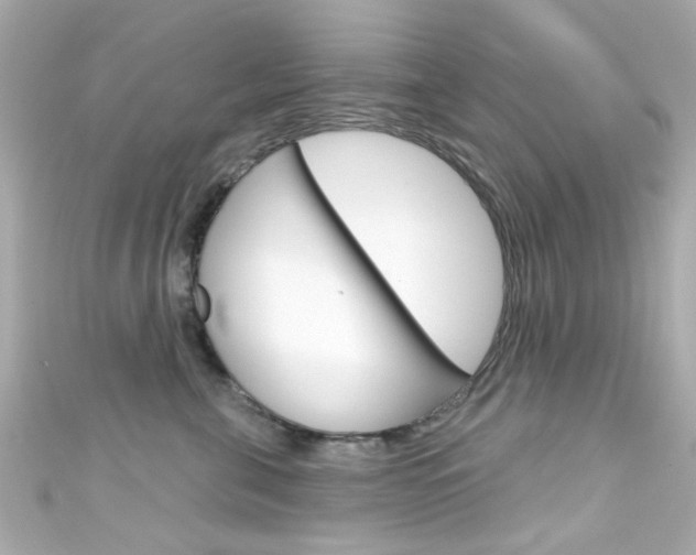 X0000111590571200907161155
