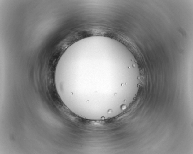 X0000111590573200907161155