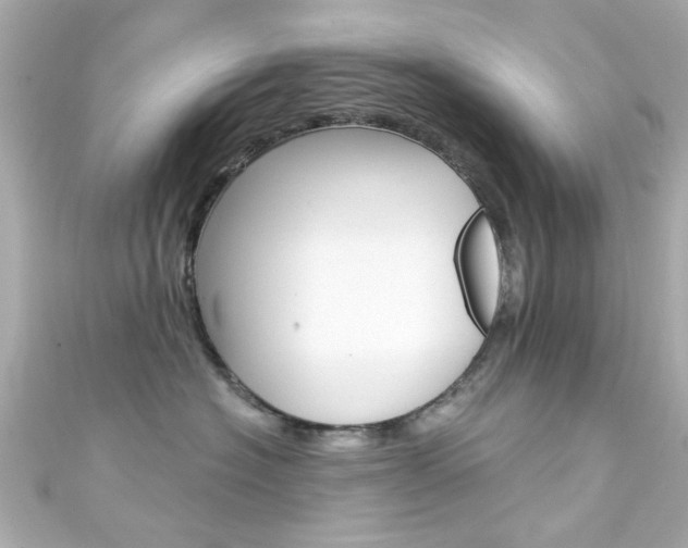 X0000111590574200907161155