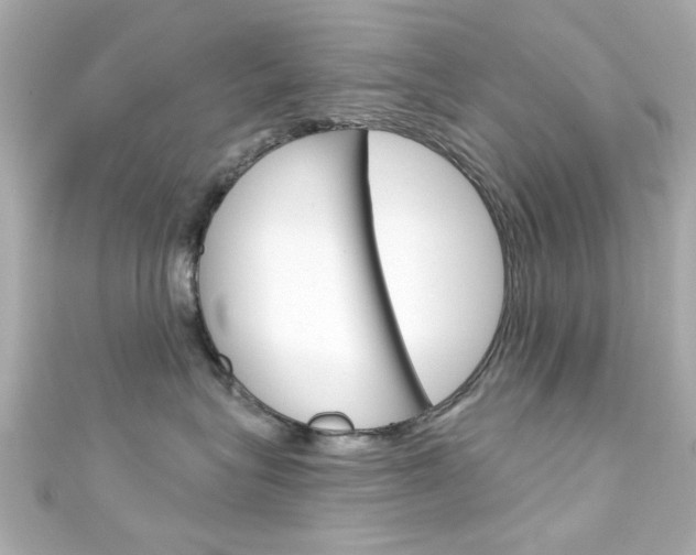 X0000111590575200907161155