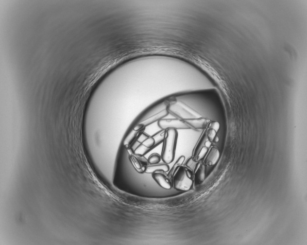 X0000111590577200907161155