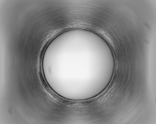 X0000111590578200907161155