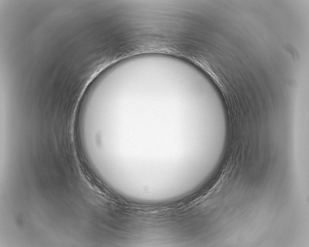 X0000111590579200907161155
