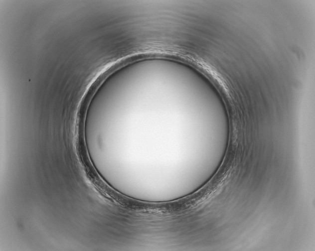 X0000111590580200907161155