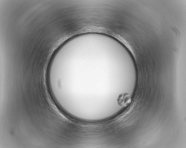 X0000111590581200907161155