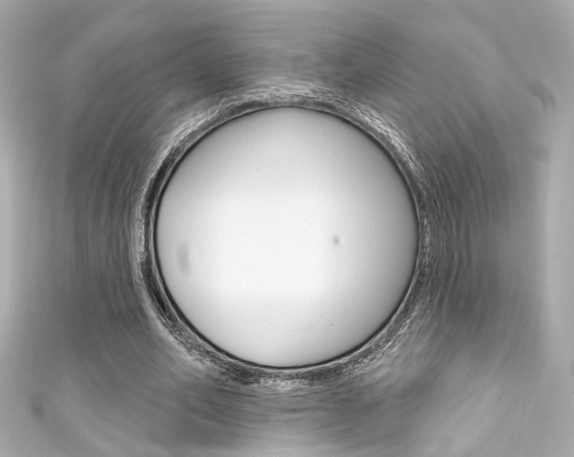 X0000111590582200907161155