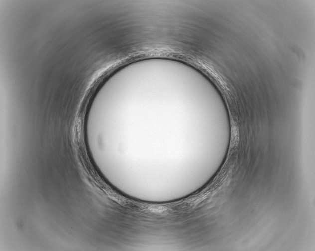 X0000111590583200907161155
