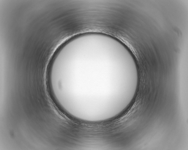 X0000111590584200907161155