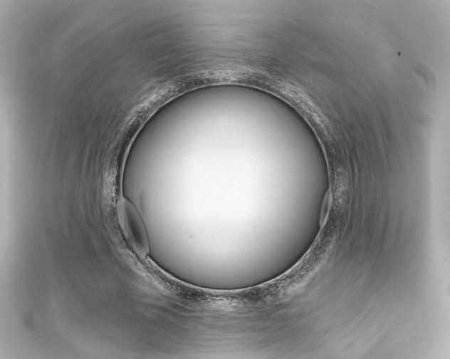 X0000111590585200907161155