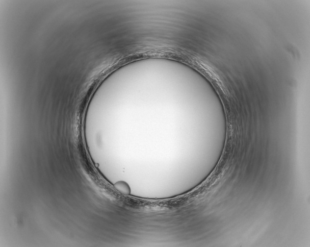 X0000111590586200907161155