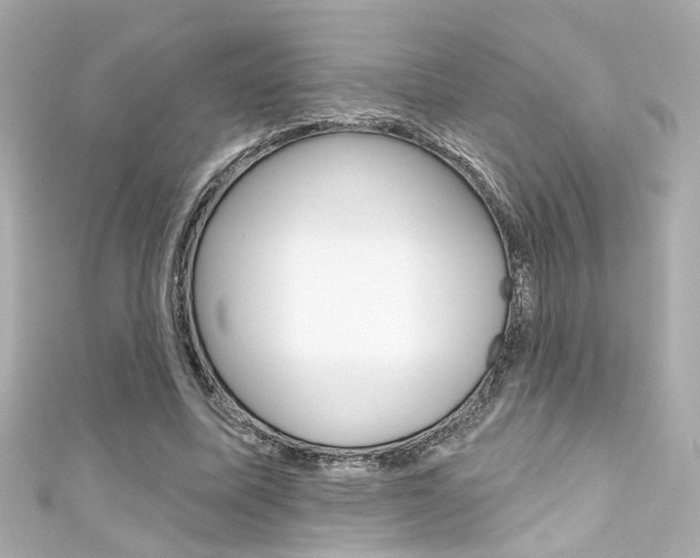 X0000111590587200907161155