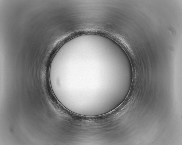 X0000111590588200907161155