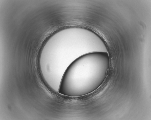 X0000111590589200907161155