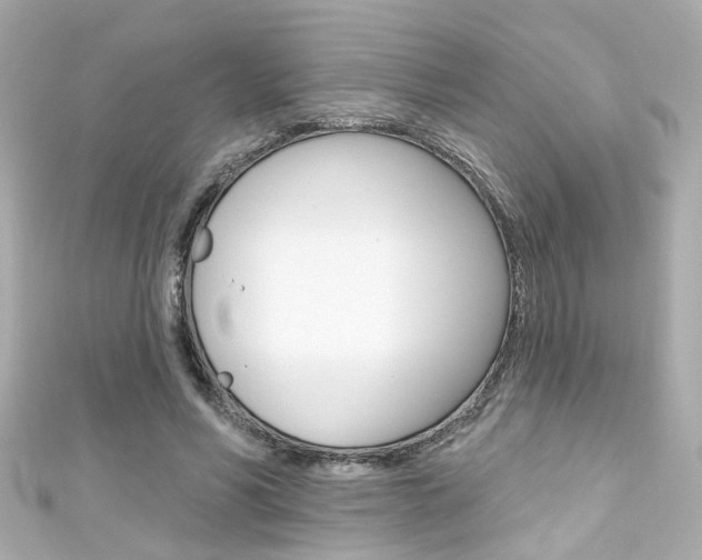 X0000111590590200907161155