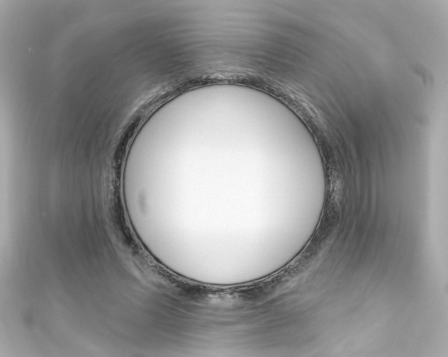 X0000111590591200907161155