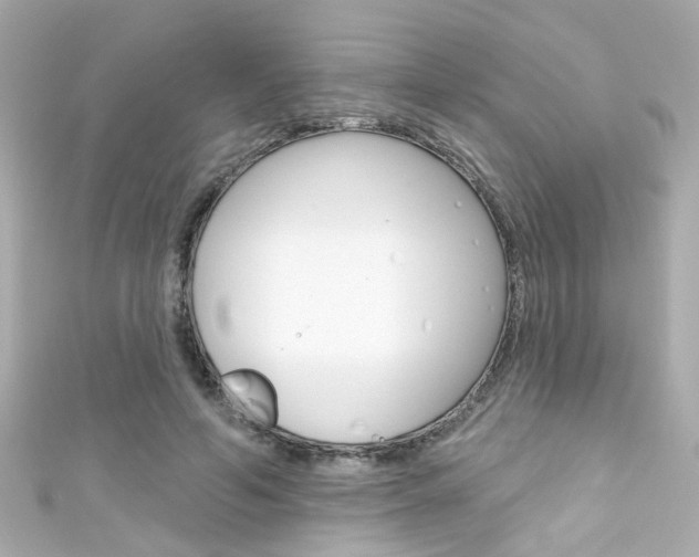 X0000111590594200907161155