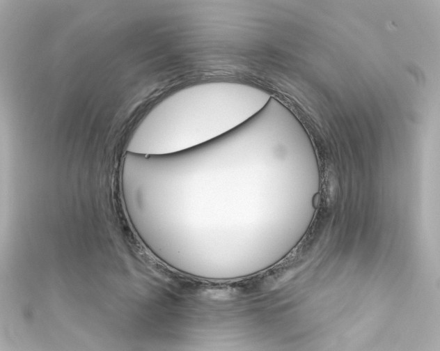 X0000111590595200907161155