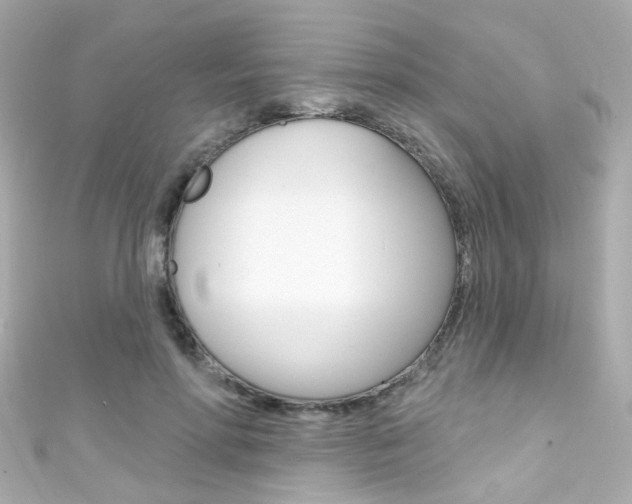 X0000111590598200907161155