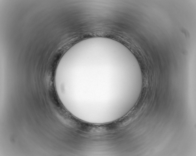 X0000111590599200907161155