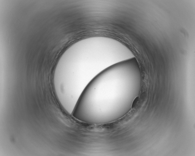 X0000111590601200907161155