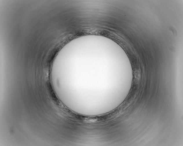 X0000111590602200907161155