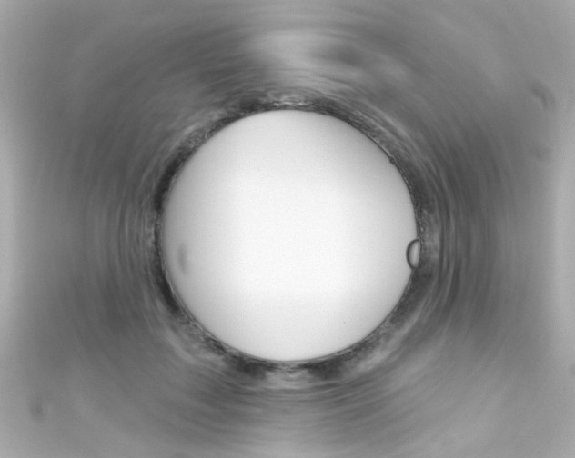 X0000111590603200907161155