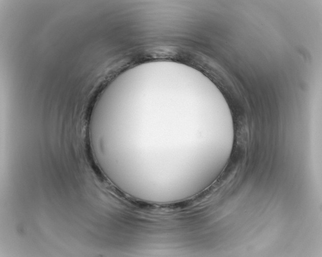 X0000111590604200907161155
