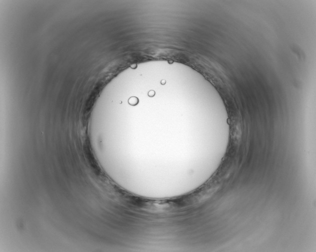 X0000111590607200907161154