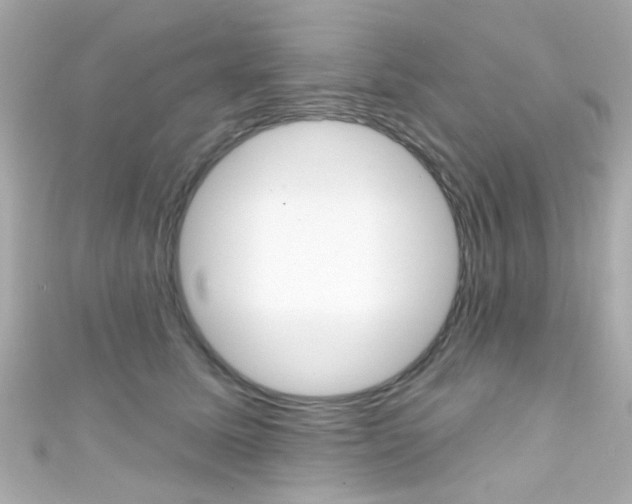 X0000111590611200907161154
