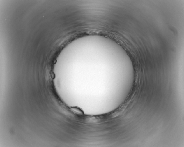X0000111590616200907161154