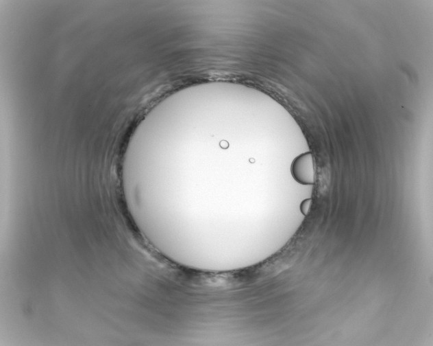 X0000111590618200907161154