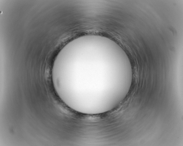 X0000111590619200907161154
