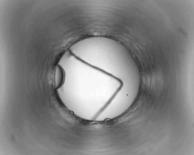 X0000111590620200907161154