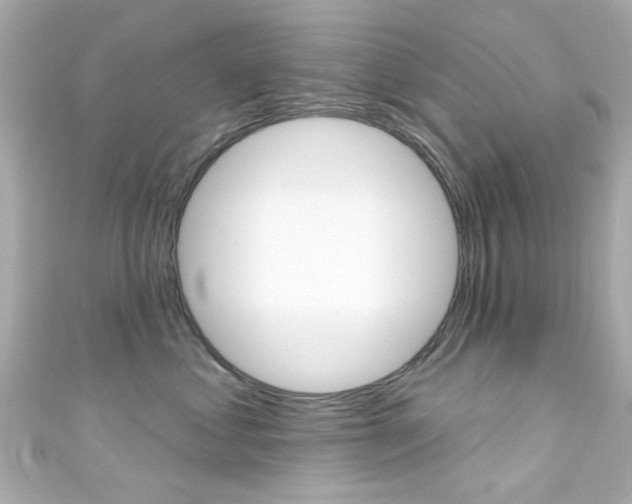 X0000111590621200907161154