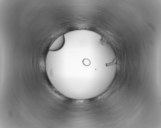 X0000111590622200907161154