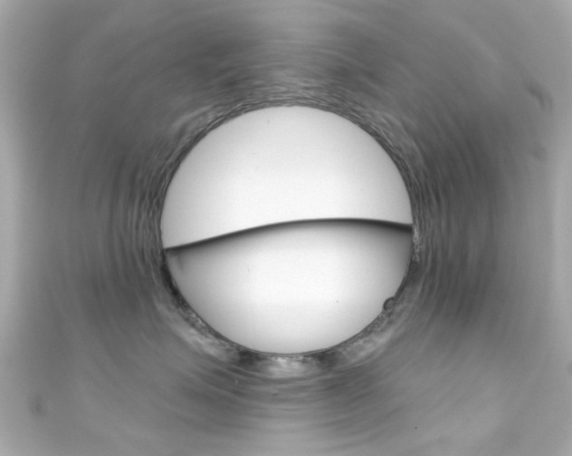 X0000111590623200907161154