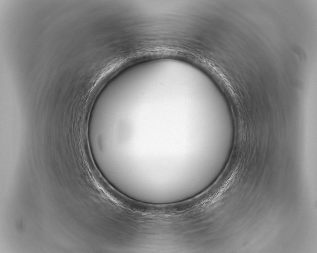X0000111590625200907161153