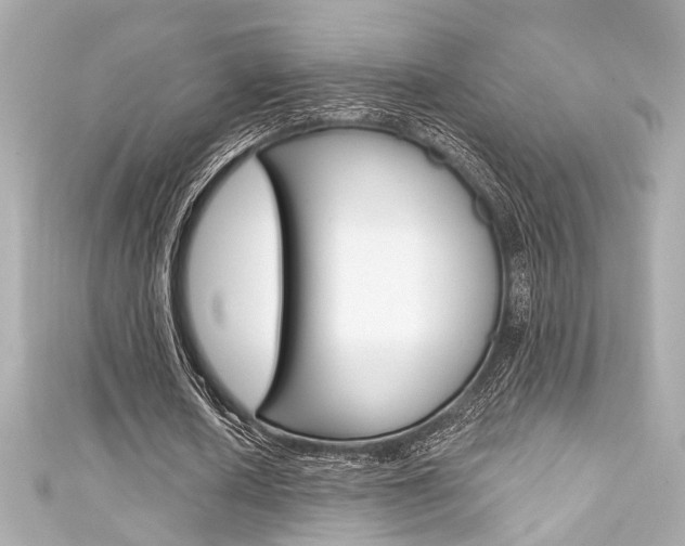 X0000111590626200907161153