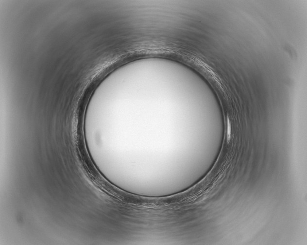 X0000111590627200907161154