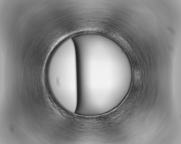 X0000111590628200907161154
