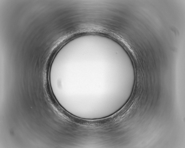 X0000111590629200907161154