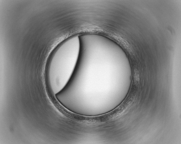 X0000111590630200907161154