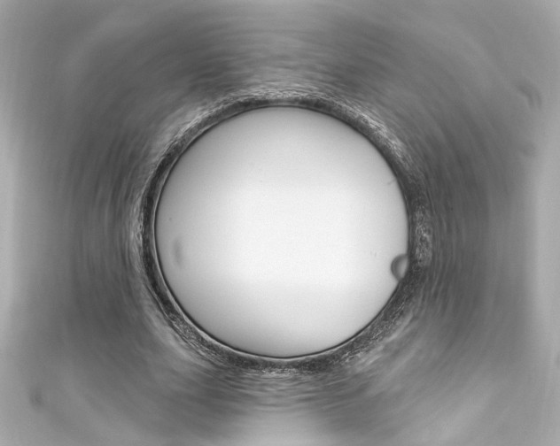 X0000111590631200907161154
