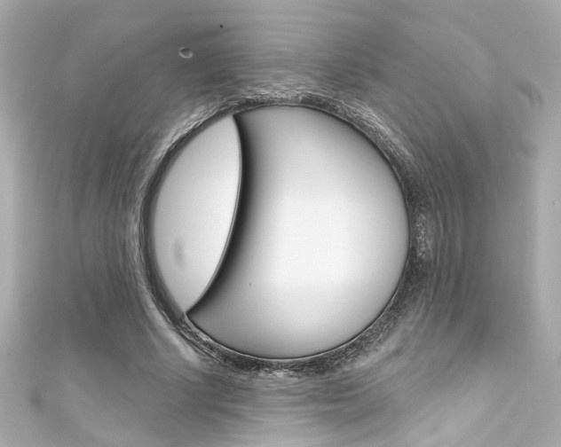 X0000111590634200907161154