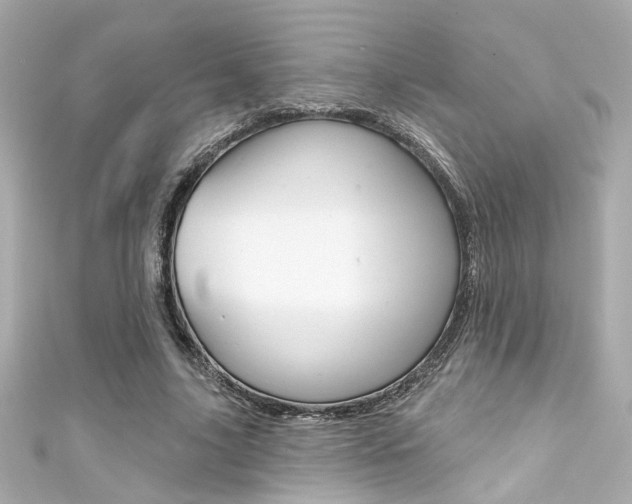 X0000111590635200907161154