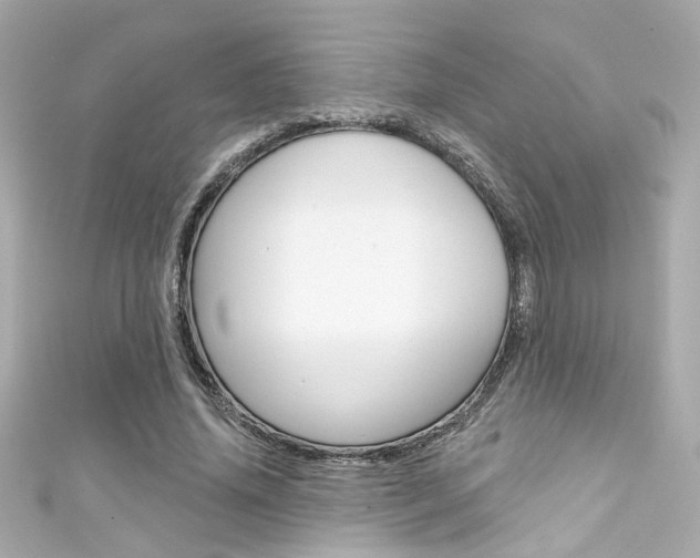 X0000111590636200907161154