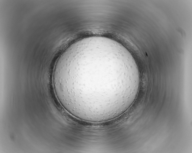 X0000111590639200907161154