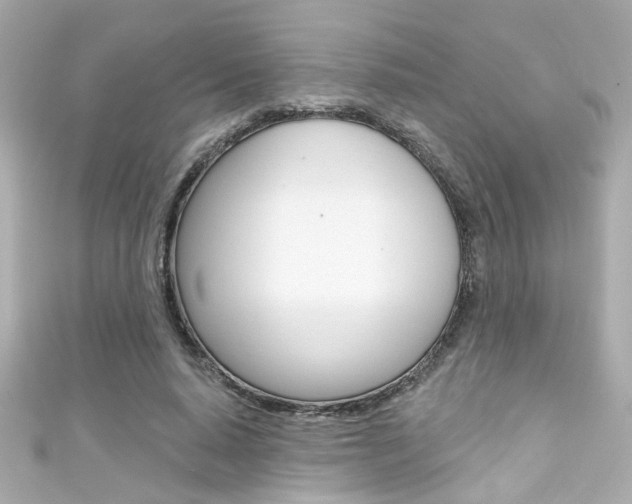 X0000111590640200907161154