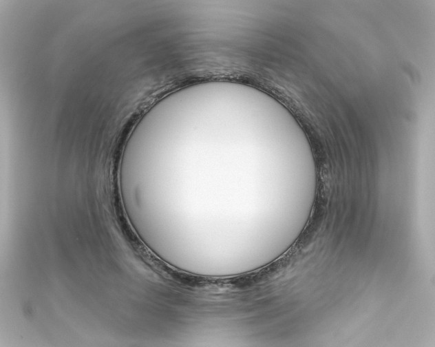 X0000111590642200907161154